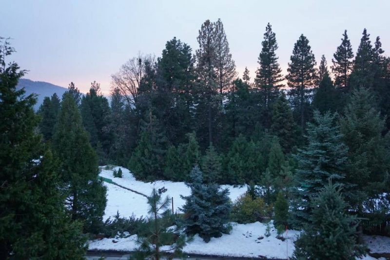 The gorgeous days end with even more stunning sunsets at Yosemite National Park