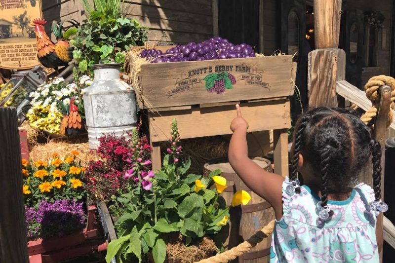 Boysenberry Festival Booth at Knott's Berry Farm