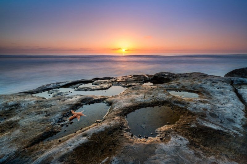 San Diego Tide Pools