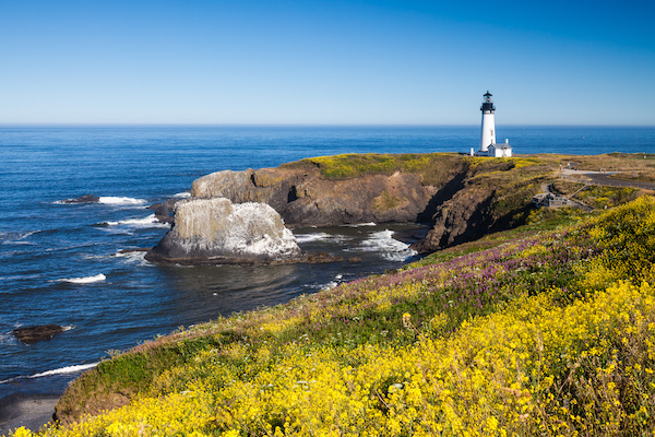 things to do in Newport Oregon