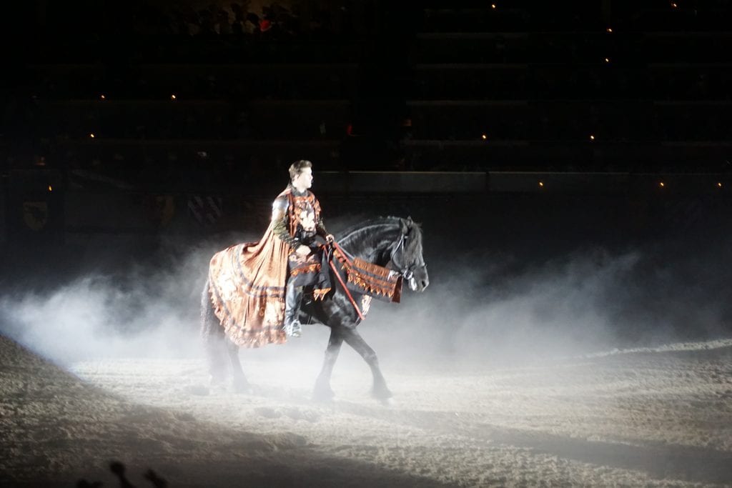Man riding a beautiful black horse in a dark arena at Medieval Times in Buena Park | Global Munchkins