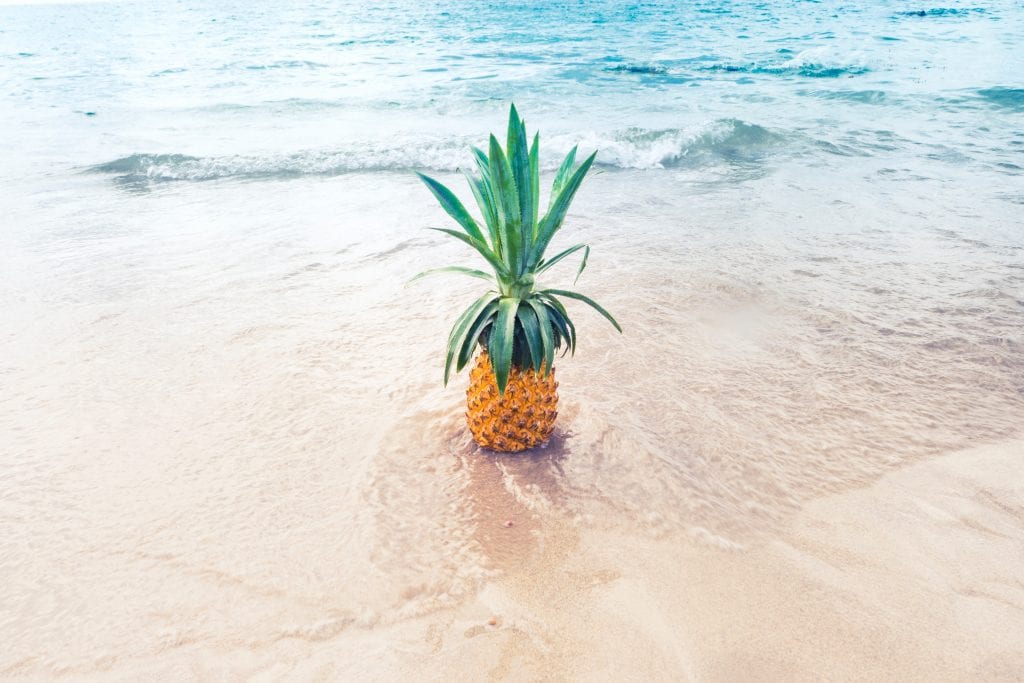 The Best Tropical Vacation Packing List + What To Leave Behind! 7 EVERYTHING you need! Tropical Vacation Packing List! Tips from a Travel Writer & Expert Vacation Packer (self-proclaimed)