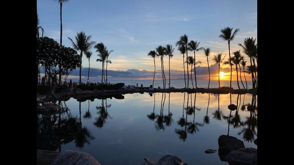 grand wailea restaurants amazing