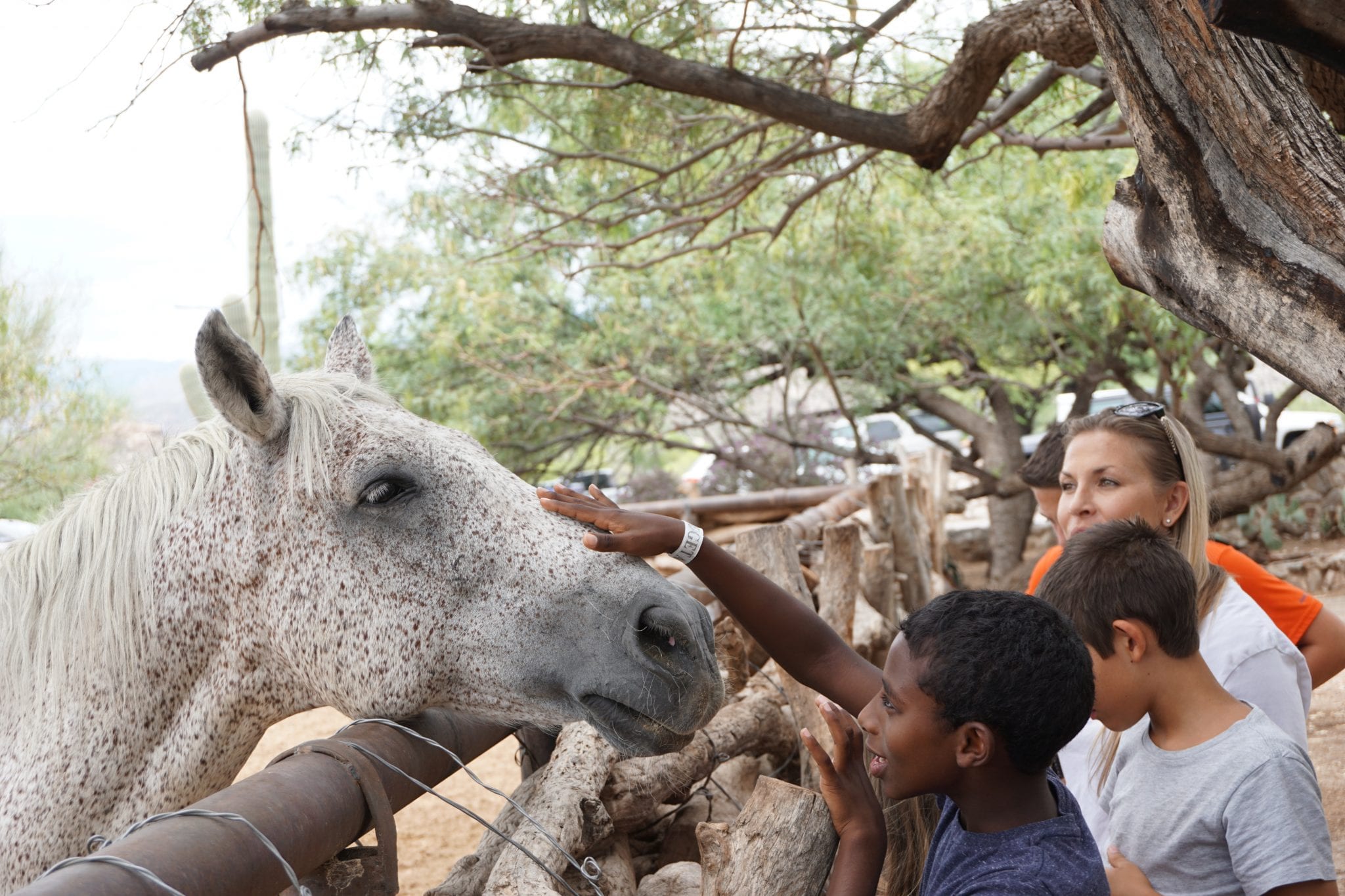 tanque verde ranch