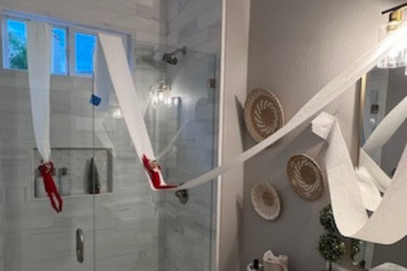 elf on the shelf toilet paper hammock idea